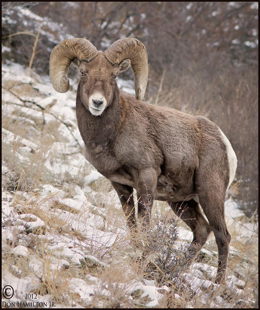 Colorado-Poser-SmugMug