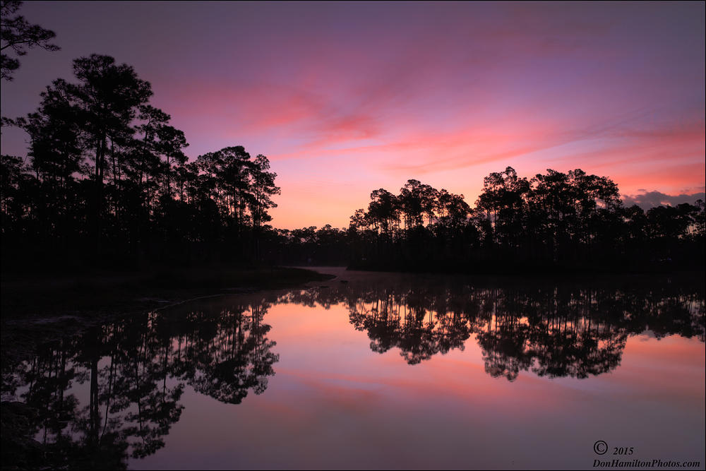 EverGlades-Color O7T0344