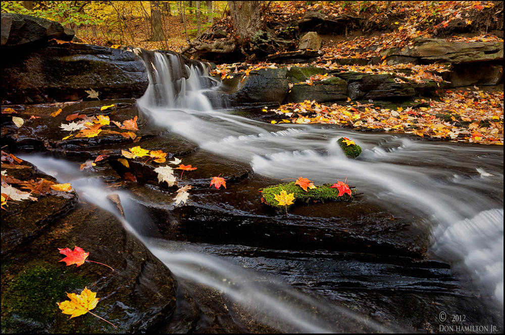 Rivers-Of-ColorRRS