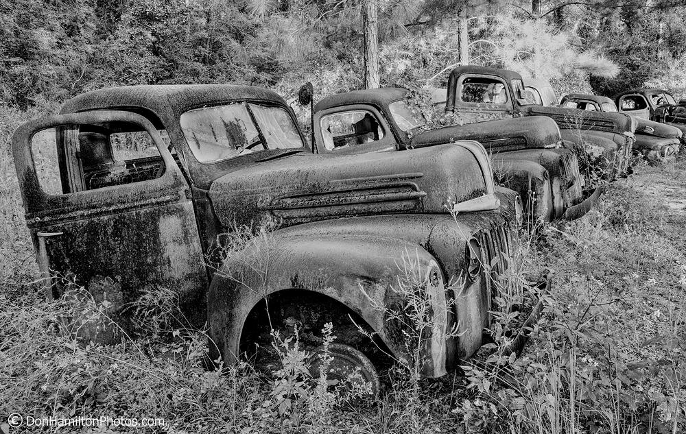 Rust-In-Peace-Panhandle 1