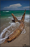 BEACHED