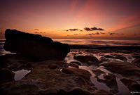 C-Cove-Silhoutte-Forums