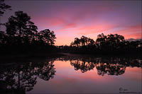 EverGlades-Color O7T0344