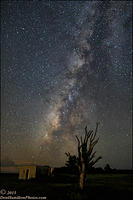 Milky-flamingo-BPN O7T3945