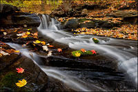 Rivers-Of-ColorRRS