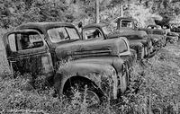 Rust-In-Peace-Panhandle 1